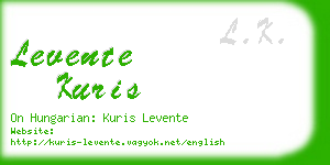 levente kuris business card